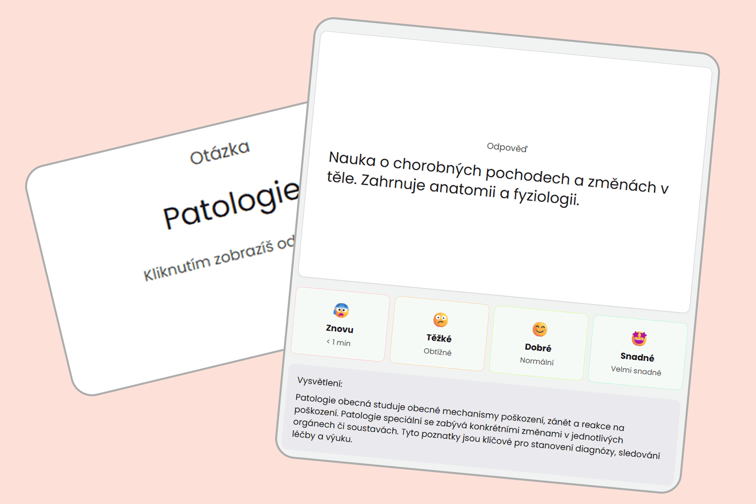 Instantní flashcards